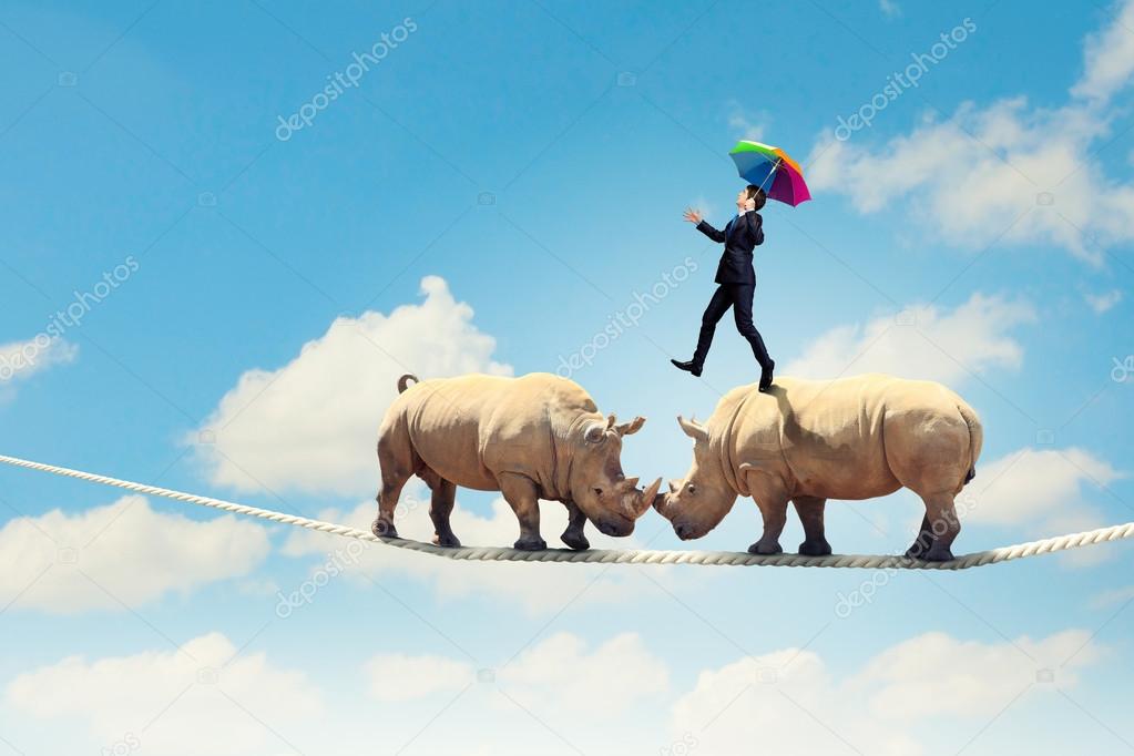 Rhino walking on rope
