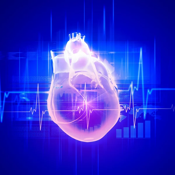 Human heart beats — Stock Photo, Image