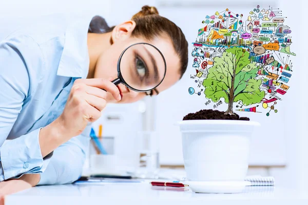 Businesswoman examining sprout — Stock Photo, Image