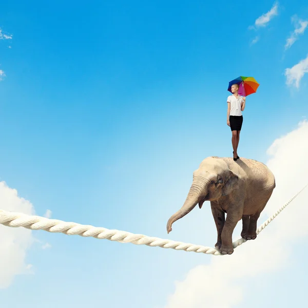 Elephant walking on rope — Stock Photo, Image