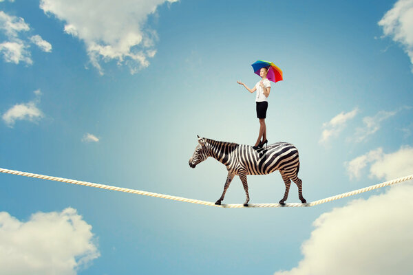 Зебра ходит по веревке

