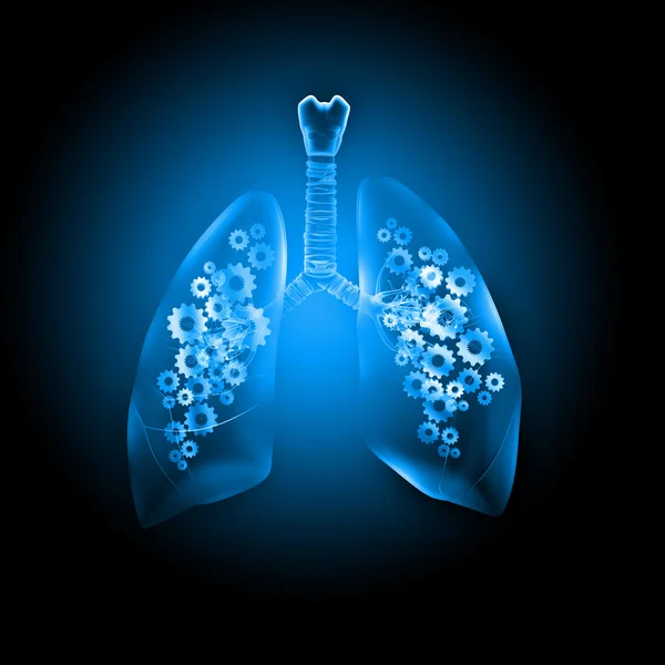 Pulmones humanos — Foto de Stock