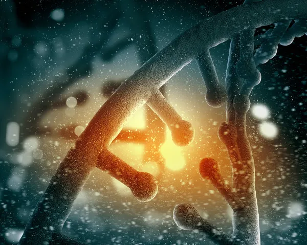 Μόριο DNA — Φωτογραφία Αρχείου