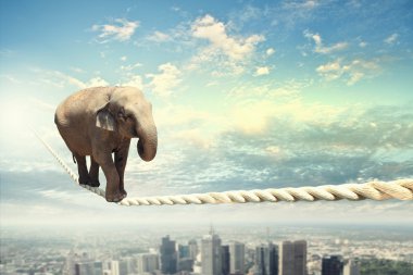 Elephant walking on rope clipart