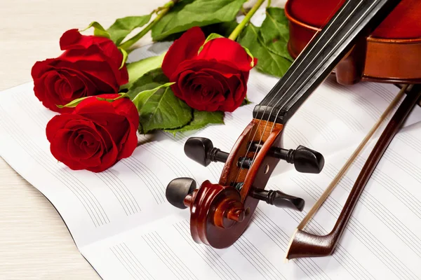 Red roses and a violin — Stock Photo, Image