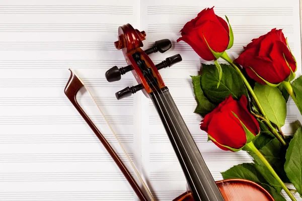 Red roses and a violin — Stock Photo, Image