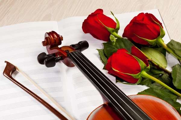 Red roses and a violin — Stock Photo, Image