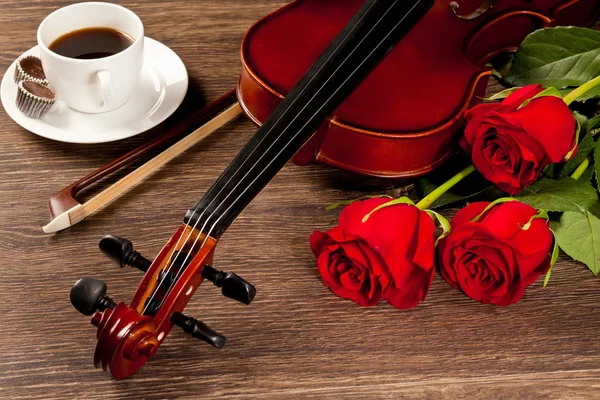 Red roses and a violin — Stock Photo, Image