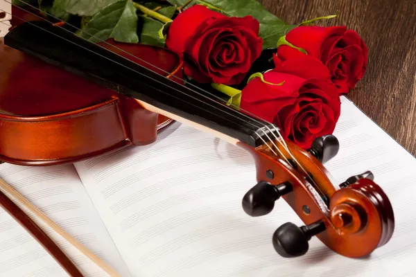 Red roses and a violin — Stock Photo, Image