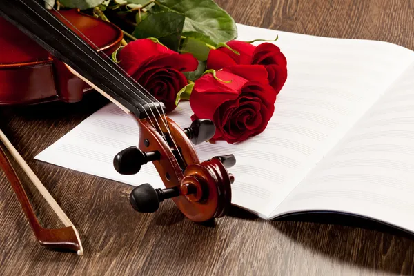 Red roses and a violin — Stock Photo, Image