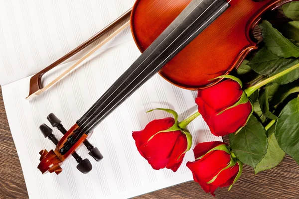 Červené růže a housle — Stock fotografie