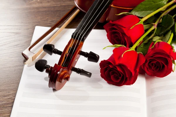 Red roses and a violin — Stock Photo, Image