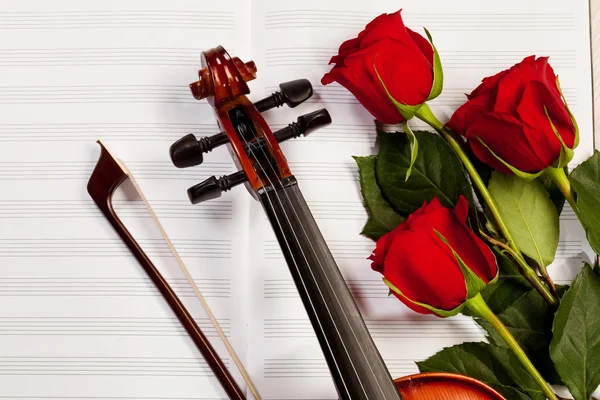 Red roses and a violin — Stock Photo, Image