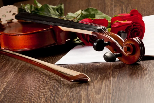 Red roses and a violin — Stock Photo, Image