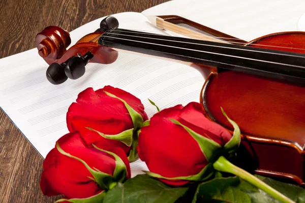 Red roses and a violin — Stock Photo, Image