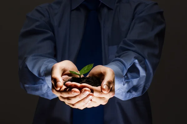 Sprout in hands — Stock Photo, Image