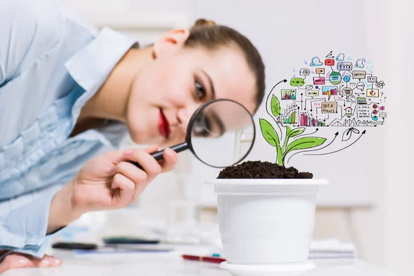 Businesswoman examining sprout — Stock Photo, Image