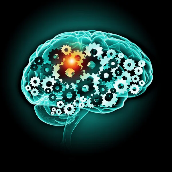 Human brain — Stock Photo, Image