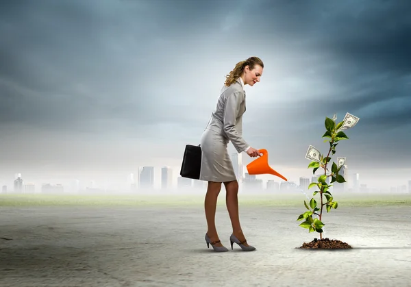 Business woman vattning monet träd — Stock fotografie