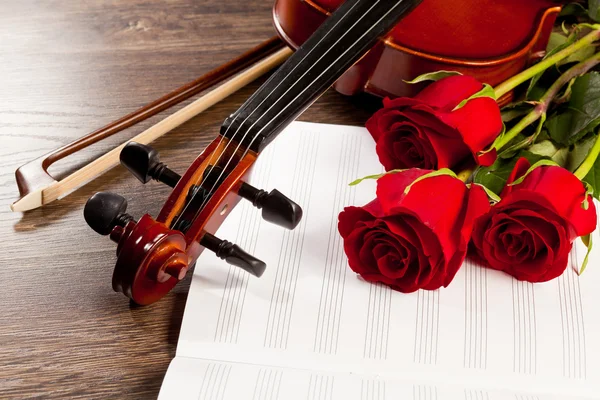 Red roses and a violin — Stock Photo, Image