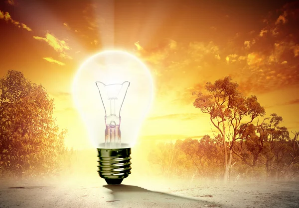 Light bulb and nature — Stock Photo, Image