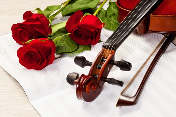 Red roses and a violin — Stock Photo, Image