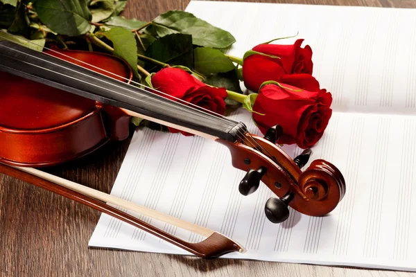Rote Rosen und eine Geige — Stockfoto