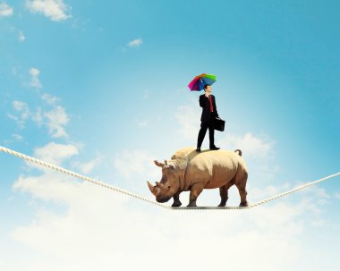 rhino ipte yürümek