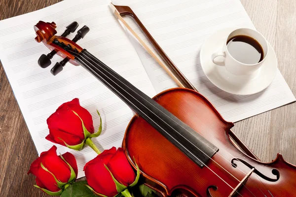 Vörös rózsa és a hegedű — Stock Fotó