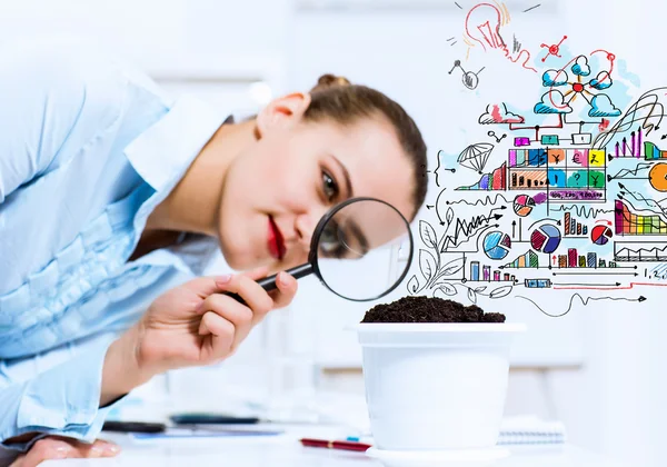 Businesswoman examining sprout — Stock Photo, Image