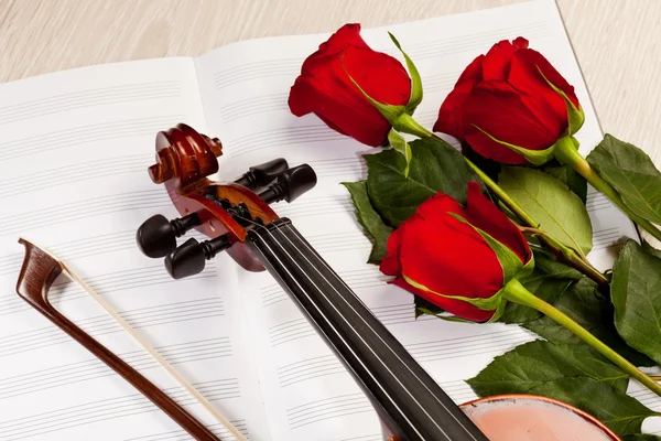 Červené růže a housle — Stock fotografie