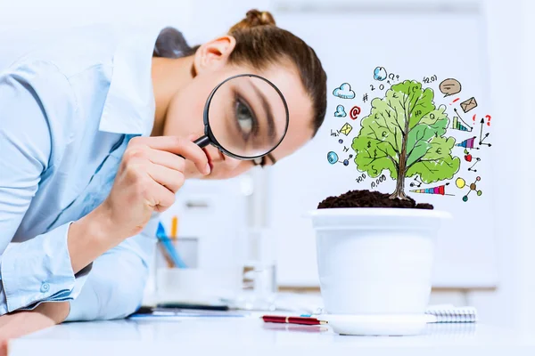 Businesswoman examining sprout — Stock Photo, Image