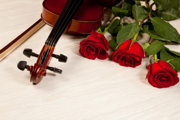 Красные розы и скрипка — стоковое фото