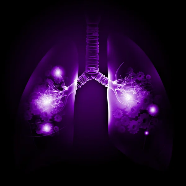 人类的肺 — 图库照片