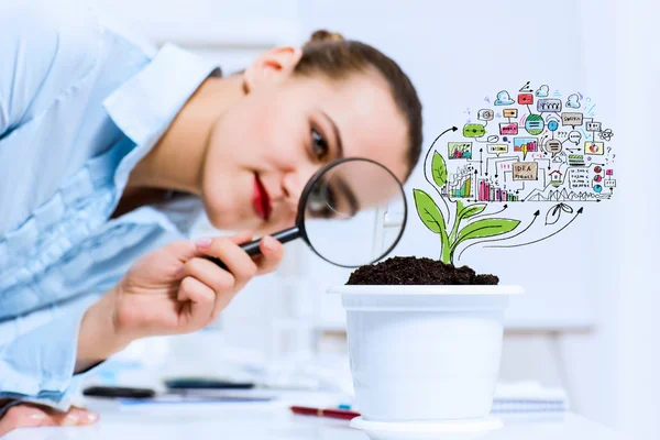 Businesswoman examining sprout — Stock Photo, Image