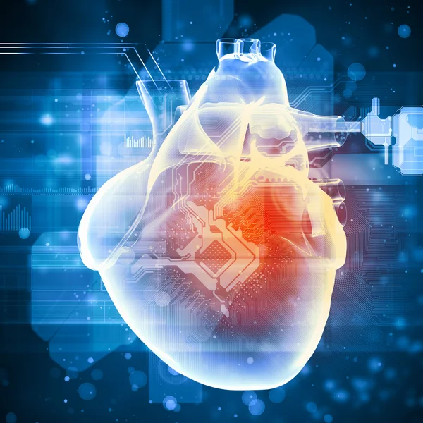 Human heart beats — Stock Photo, Image