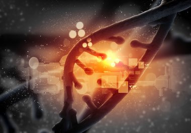 DNA molekülü
