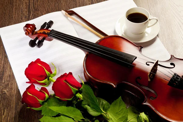 Red roses and a violin — Stock Photo, Image