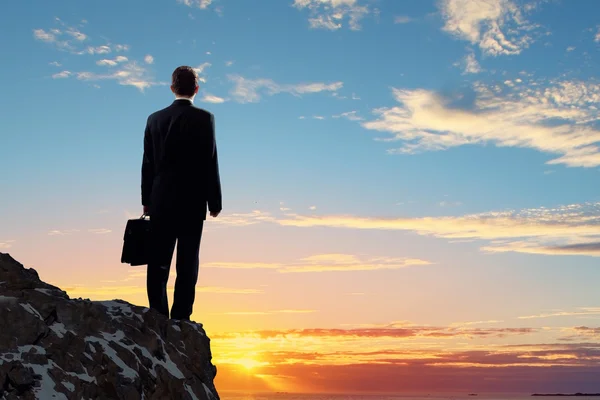 Businessman on top of hill — Stock Photo, Image