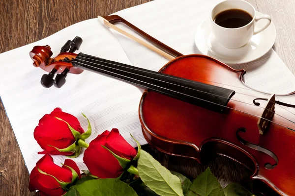 Red roses and a violin — Stock Photo, Image