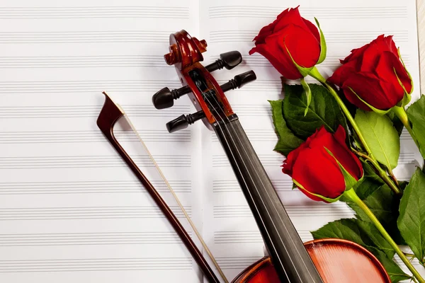 Red roses and a violin — Stock Photo, Image