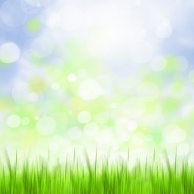 bokeh görüntü
