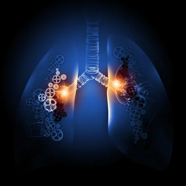 Pulmones humanos —  Fotos de Stock