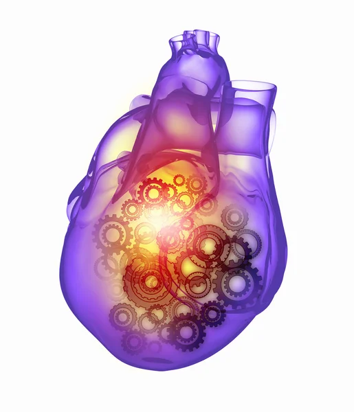Людського серця — стокове фото