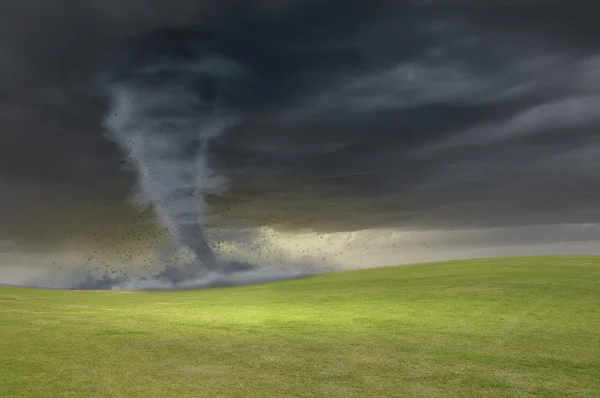 Tornado çayırda — Stok fotoğraf