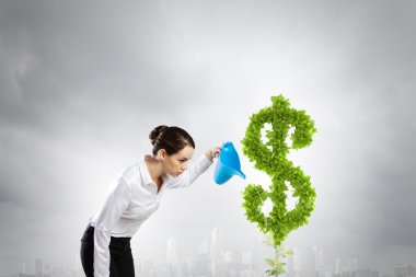 Income concept