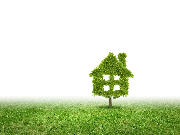 Conceptual image of green plant shaped like house — Stock Photo, Image