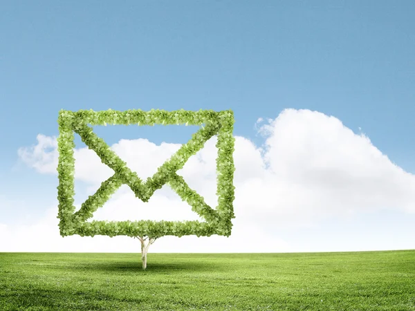 Концептуальное изображение зеленого растения в форме электронной почты — стоковое фото