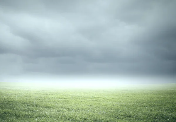 Sfondo della natura — Foto Stock