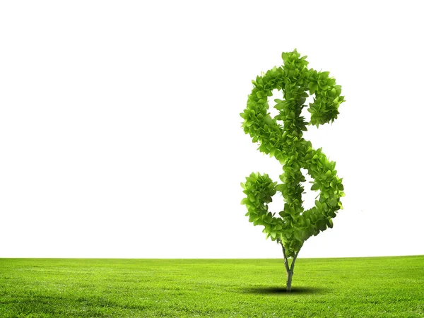 Imagem conceitual de planta verde em forma de dólar gostado — Fotografia de Stock